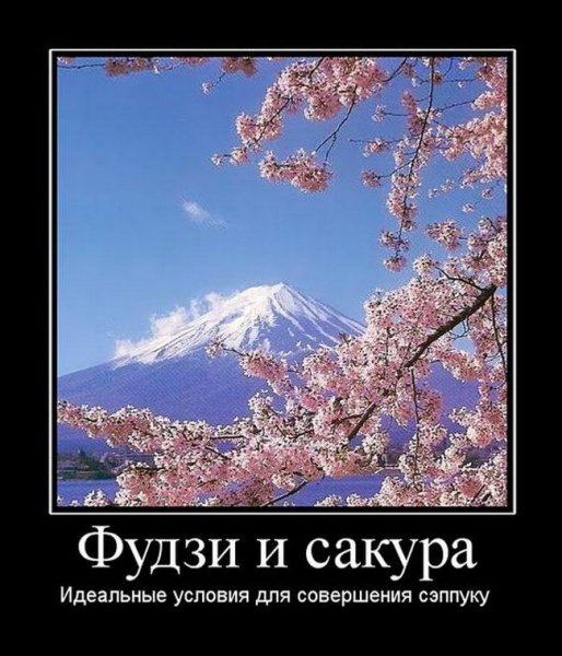 Демотиваторы про японцев