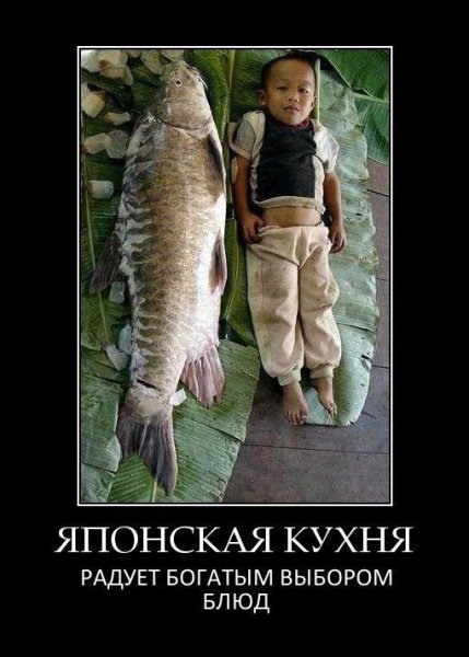 Курильские острова демотиваторы