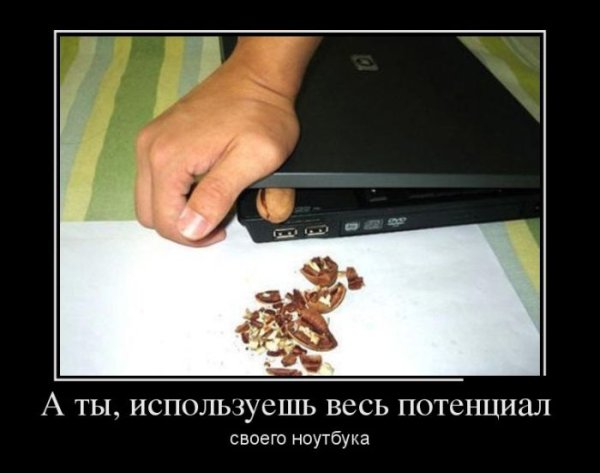 Шутки про ноутбук