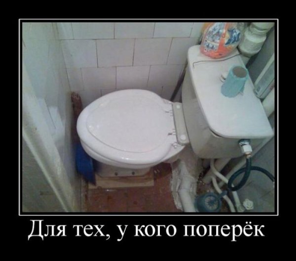 Сантехник в унитазе прикол