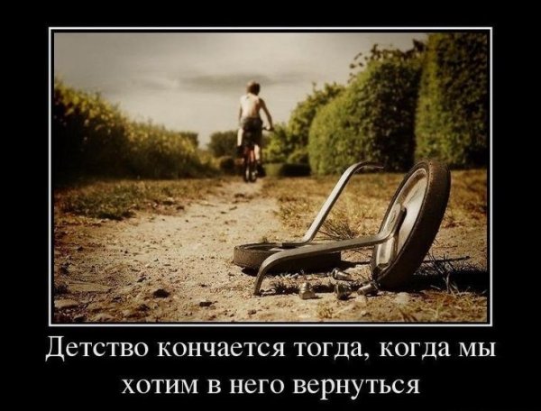 Демотиваторы про лошадей