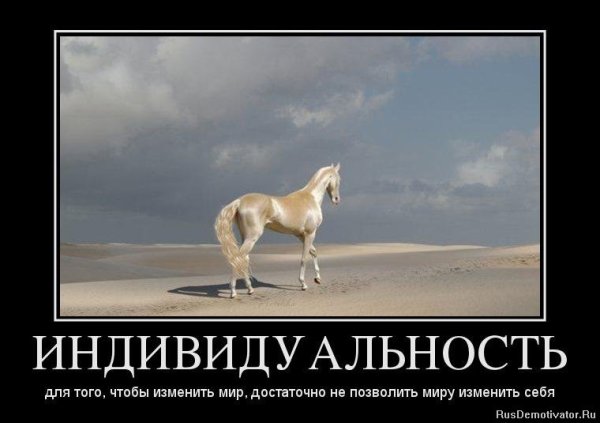 Демотиваторы цитаты