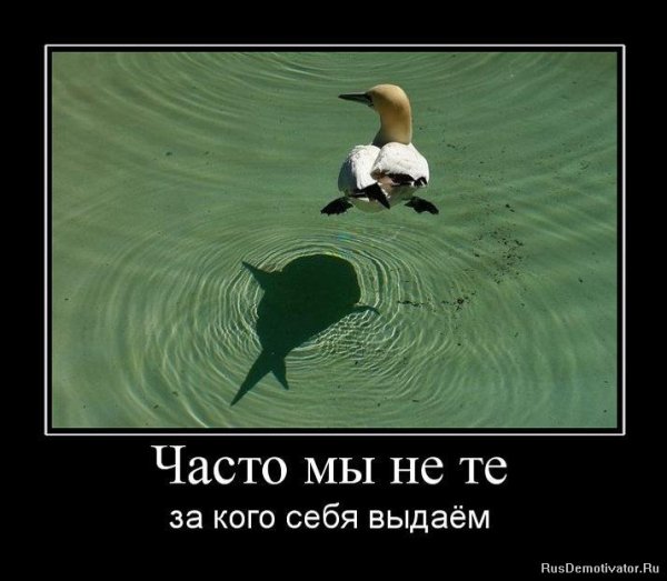Демотиваторы про женщин