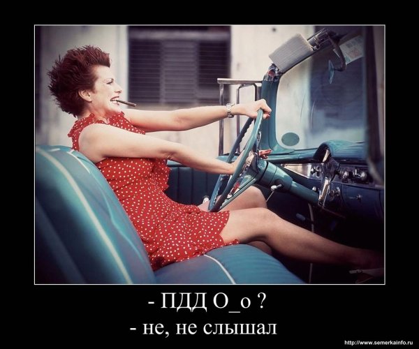 Развод демотиватор