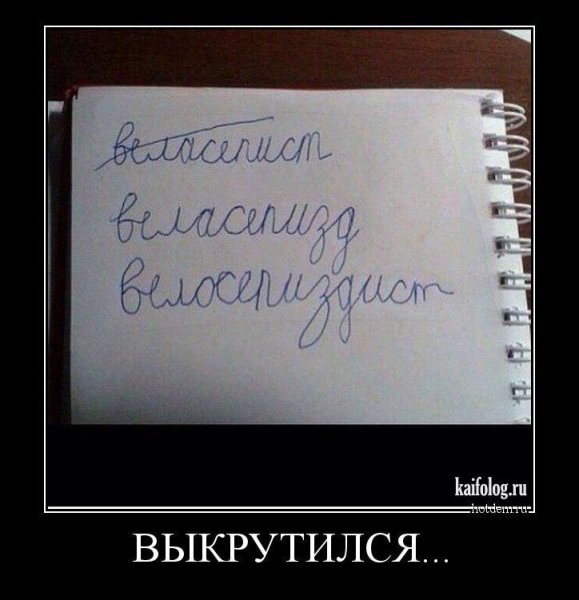 Демотиваторы смешные со смыслом
