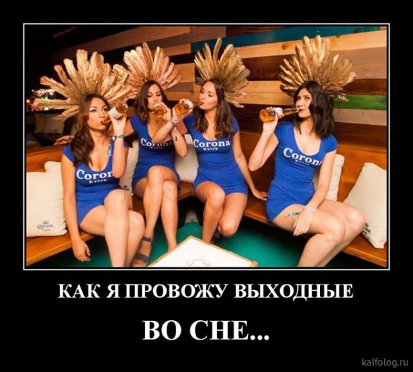 Демотиваторы про пиво