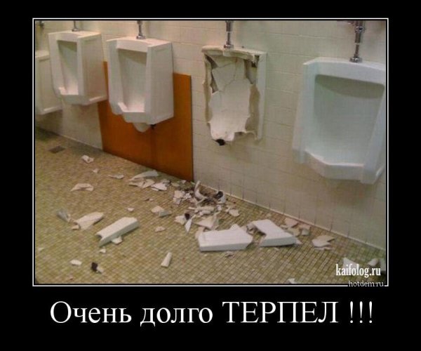 Мемы про туалет