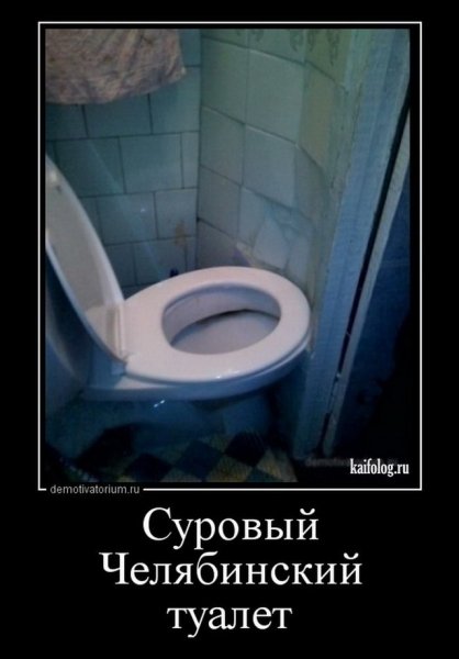 Сидит в туалете демотиватор