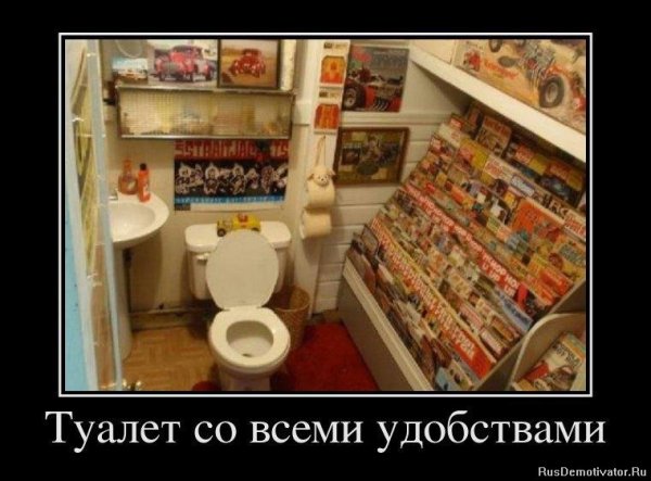 Туалет в квартире прикол