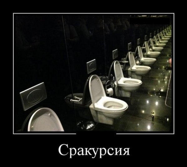 Унитаз со ступенькой