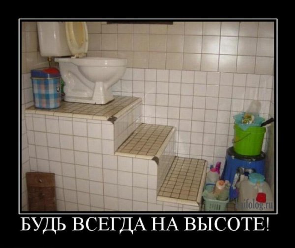 Демотиваторы туалетная бумага