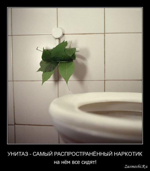 Смешные туалеты и демотиваторы