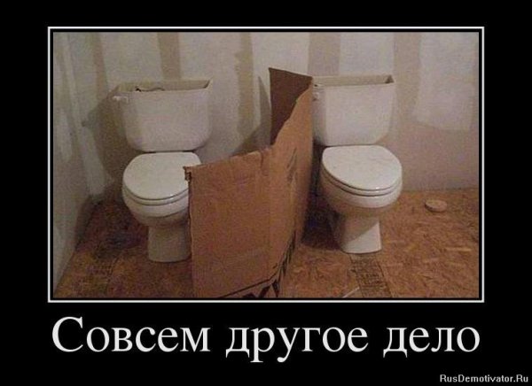 Шутки про туалет