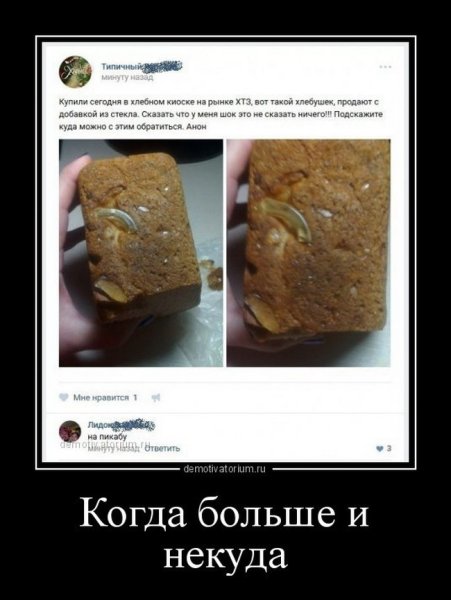 Демотиваторы свежие