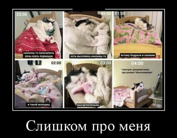 Твиттер демотиватор