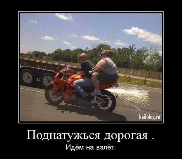 Голодный кот демотиватор