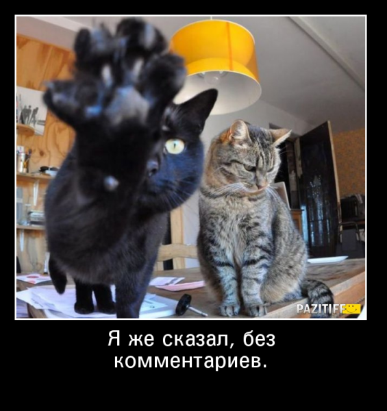 Демотиваторы для взрослых