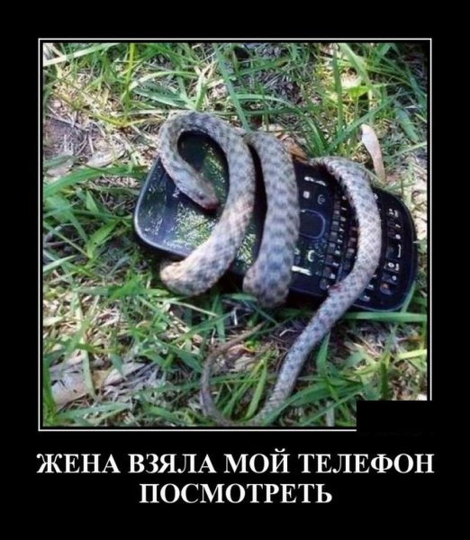Школьные приколы юмор