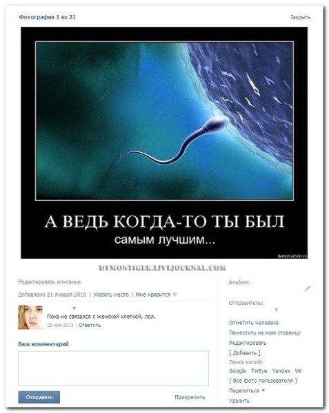 Эстония приколы
