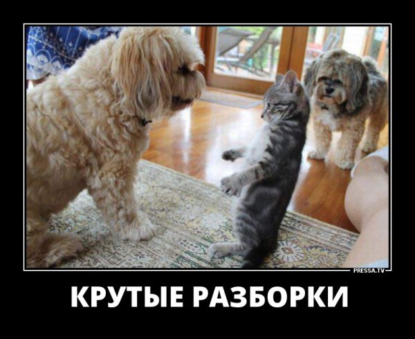 Демотиваторы про молодость