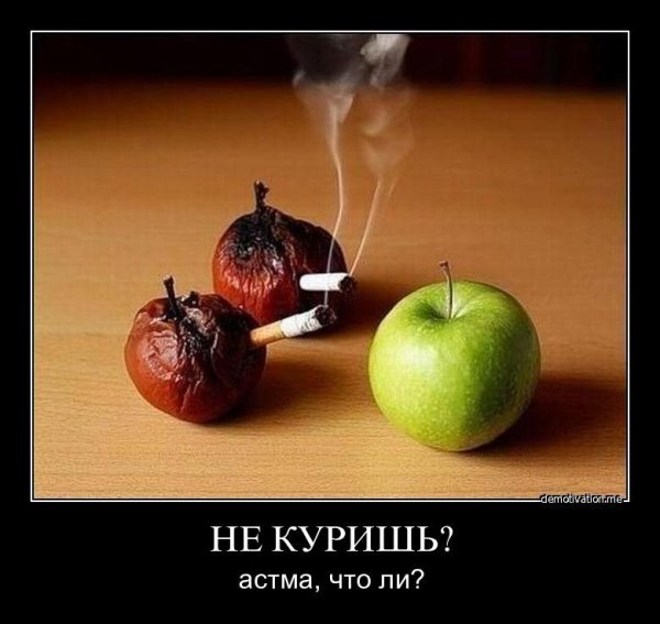Демотиваторы бросить курить