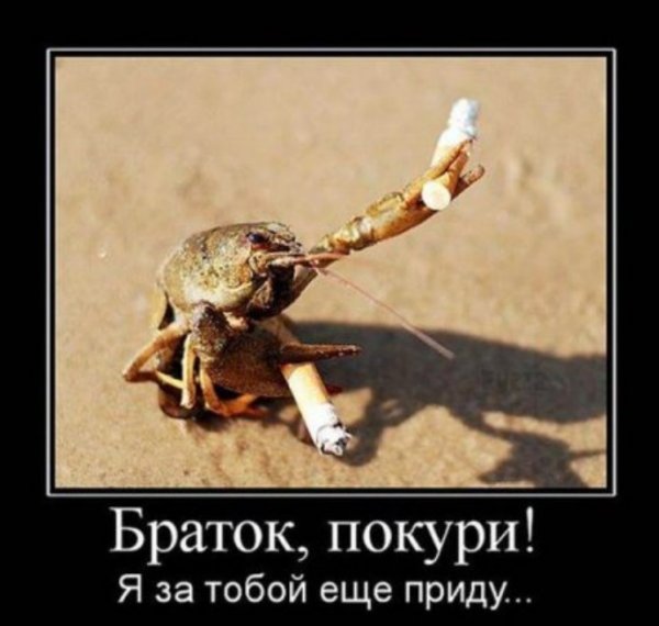 Демотиваторы против курения