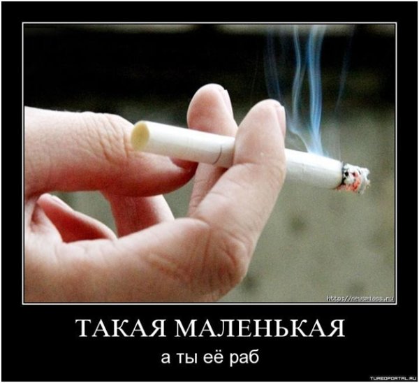 Сигареты демотиваторы