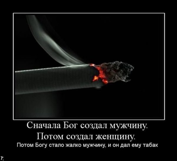Цитаты про сигареты