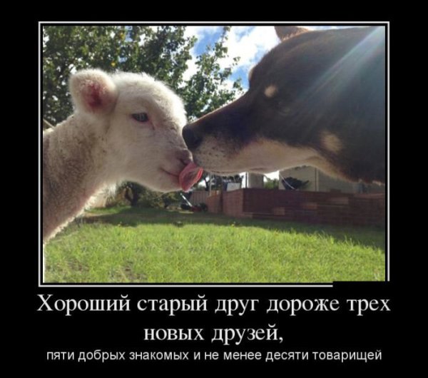 Хорошего дня демотиваторы