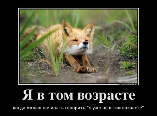 Я лиса