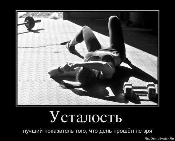 Не жалей себя себя жалеют только ничтожества