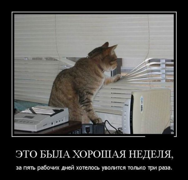 Опять дождь