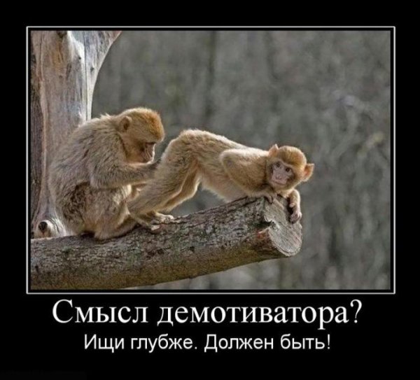 Лучшие демотиваторы