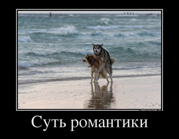 Хорошего дня демотиваторы