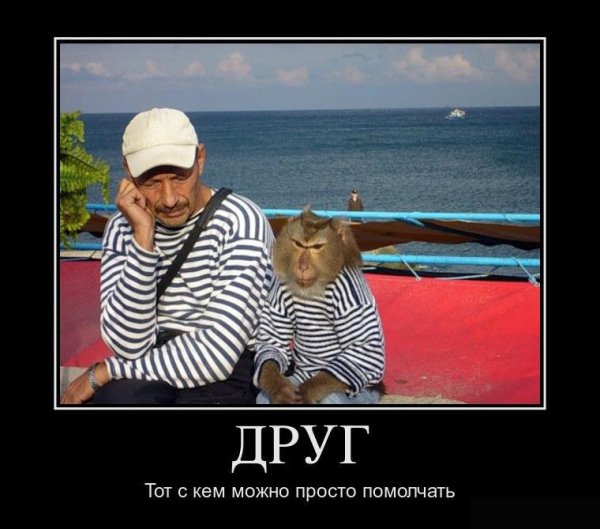 Друзья юмор