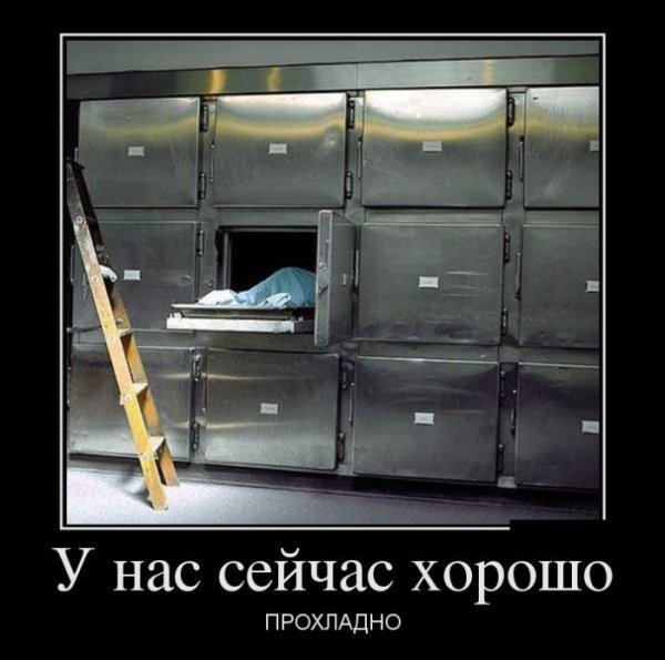 Мрачные демотиваторы