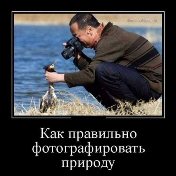 Прикольные демотиваторы