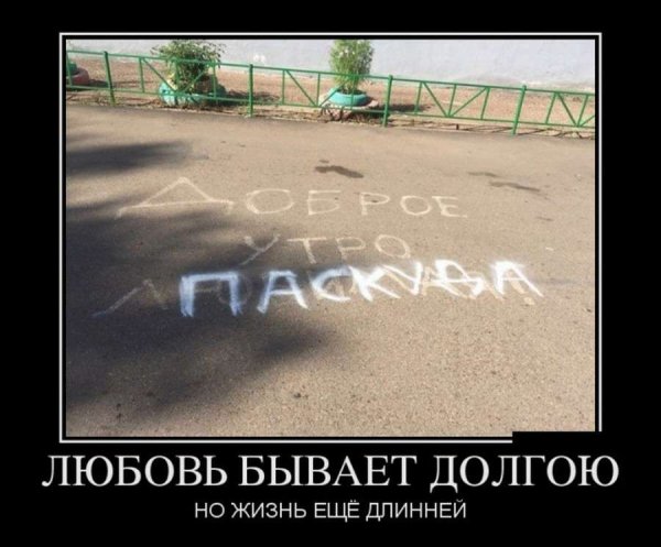 Хорошего дня демотиваторы