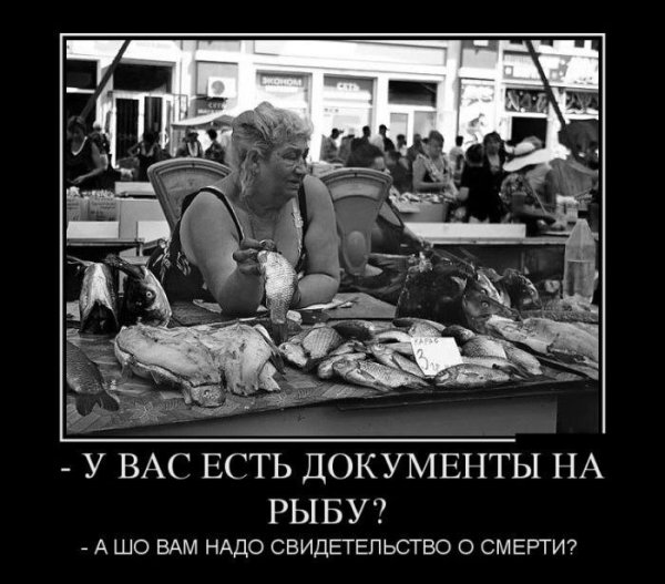 Демотиваторы приколы