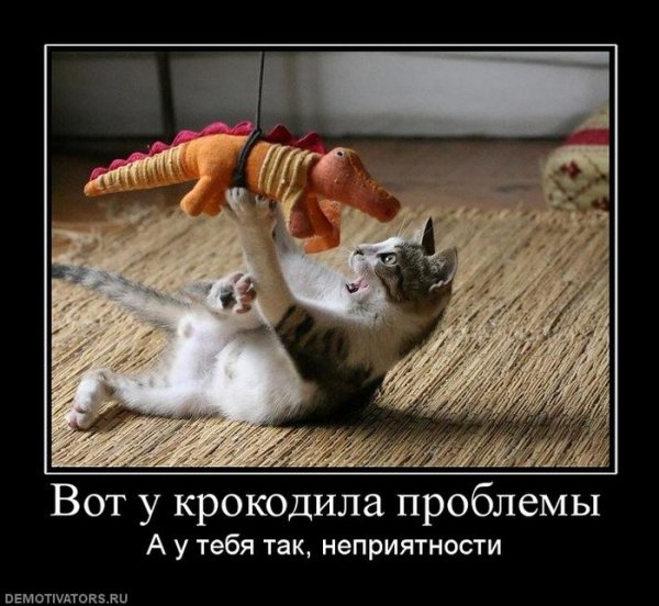 Прикольные демотиваторы
