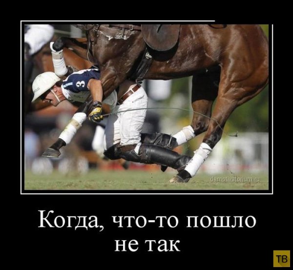 Прикольные демотиваторы