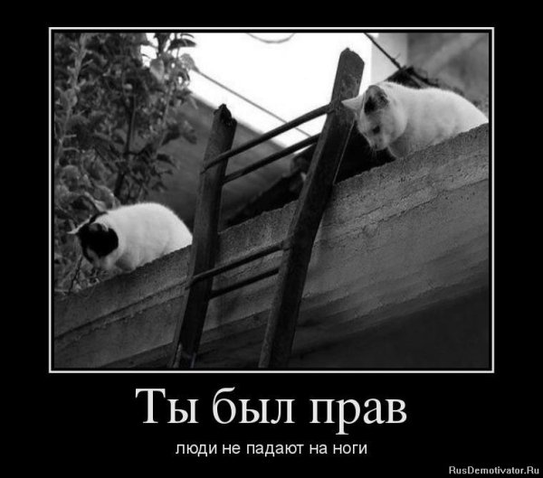 Демотиваторы приколы
