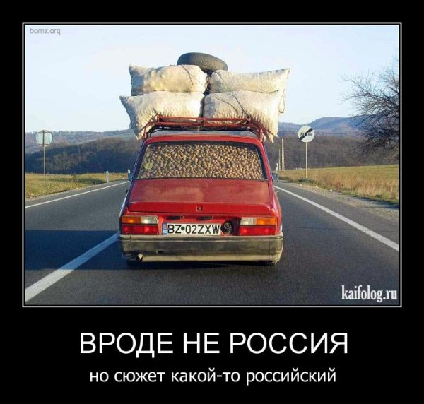 Демотиваторы приколы