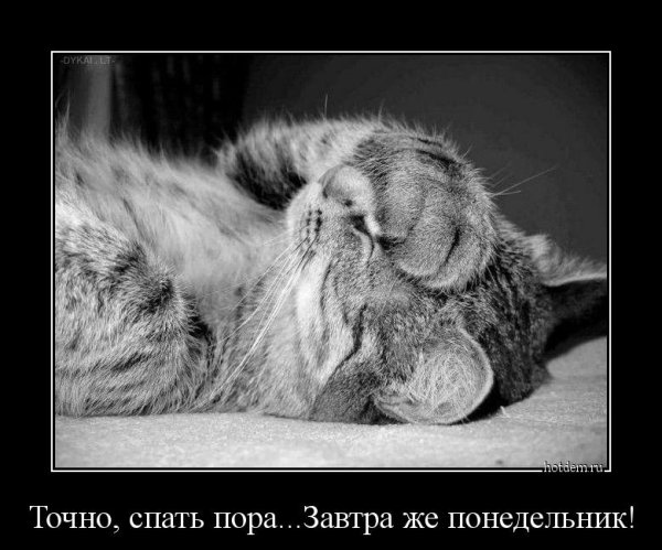 Спокойной ночитзавтра понедельник