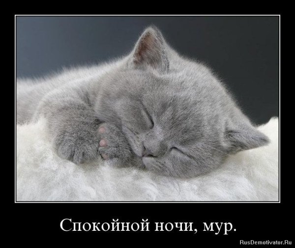 Спокойной ночи Мур Мур