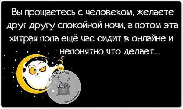 Спокойной ночи цитаты смешные
