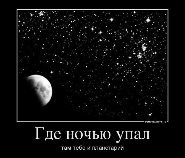 Приколы на ночь