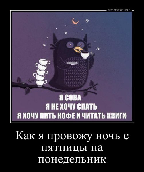 Приколы на ночь