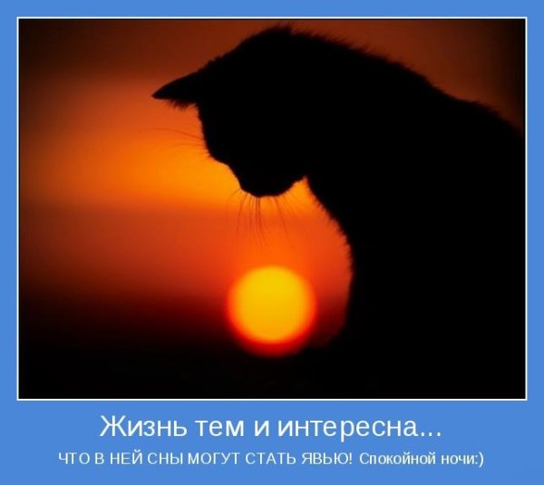 Чёрной ночью чёрный кот прыгнул