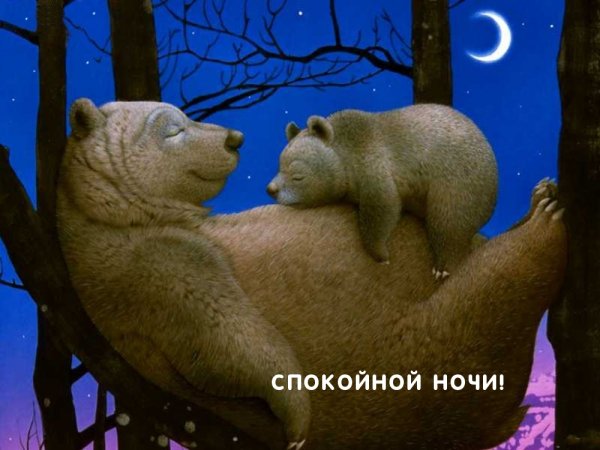 Медведица с медвежатами